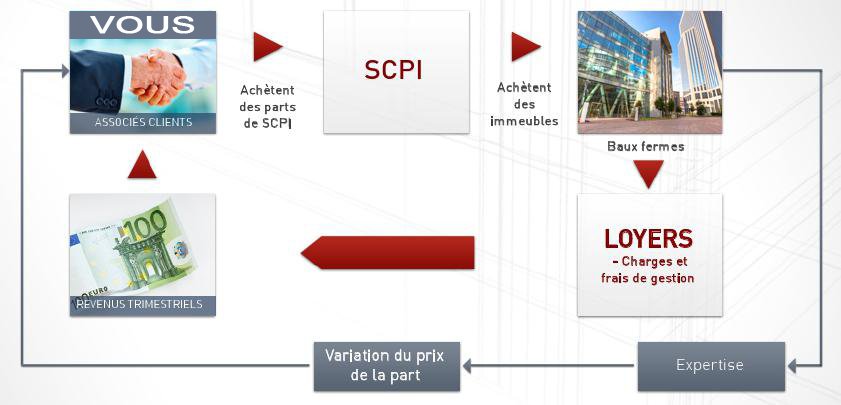 Les SCPI expliquées en un seul schéma